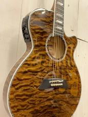 Takamine 『オーダー受付中』TSP178AC ~Custom Brown Quilt  with Avalon~_3