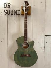 Takamine 『オーダー受付中』TSP138C ~Custom Foliage Green ~_2