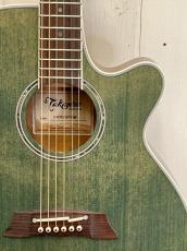 Takamine 『オーダー受付中』TSP138C ~Custom Foliage Green ~_3