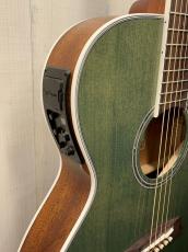 Takamine 『オーダー受付中』TSP138C ~Custom Foliage Green ~_4