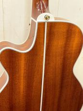 Takamine 『オーダー受付中』TSP138C ~Custom Foliage Green ~_6