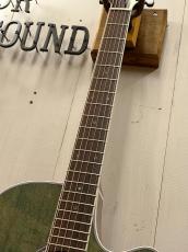 Takamine 『オーダー受付中』TSP138C ~Custom Foliage Green ~_7