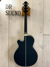 Takamine 『オーダー受付中』 500 Custom  ~Midnight Gray ~_5