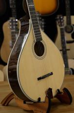 Gold Tone Banjola+  Woodbody Banjo_5