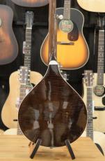 Gold Tone Banjola+  Woodbody Banjo_6