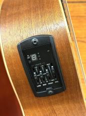 Taylor 【秋得BIGセール!】GS Mini-e special edition Trans Black 【スペシャルカラー!】_10