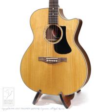 Eastman PCH2-GACE