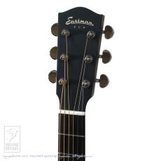 Eastman PCH2-GACE_8