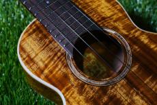 aNueNue AAA1 Soprano_9