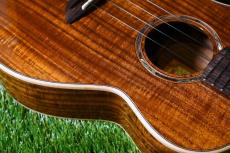 aNueNue AAA3 Tenor_10