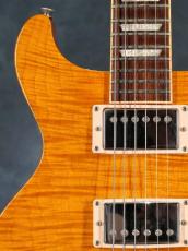 Gibson Les Paul Standard Double Cutaway Amber Serrano_6
