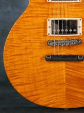 Gibson Les Paul Standard Double Cutaway Amber Serrano_8