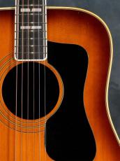 Guild 1977 D-55 Sunburst_7