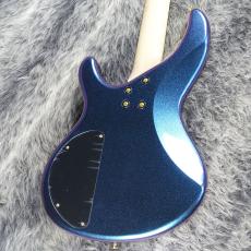Aria Pro II IGB-CC Blue / Purple_2