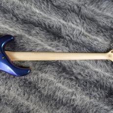 Aria Pro II IGB-CC Blue / Purple_6