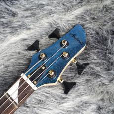 Aria Pro II IGB-CC Blue / Purple_7