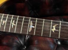Paul Reed Smith [PRS] DGT David Grissom Trem  Gold Top 2008年製中古_8