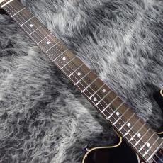 Edwards E-THROBBER-CTM BK_4
