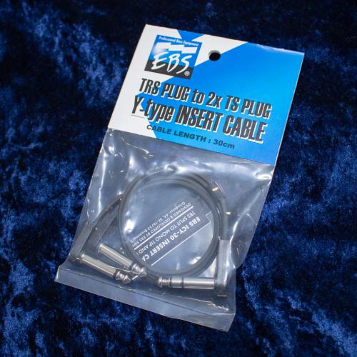 EBS ICY-30