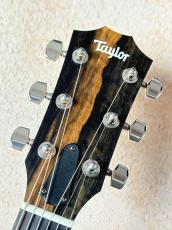 Taylor 212ce Plus 【フルグロス塗装!!】【送料当社負担・最大48回無金利】_5