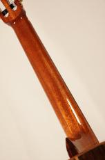 Martinez 【Crossover Series】MP-12 ROSEWOOD【NEW】_7