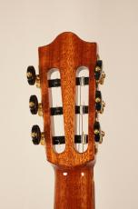 Martinez 【Crossover Series】MP-12 ROSEWOOD【NEW】_8