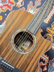 Taylor Custom GA #13027 cocobolo&Shinker【最大48回分割無金利】_3