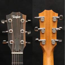 Taylor LTD 214ce Plus African Ziricote_5