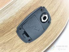 Cole Clark AN2EC-BLBL 【返品OK】[ULM49]【神戸店在庫】_10