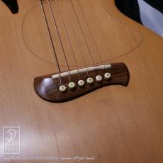 TACOMA P-1【15回無金利対象品】_11