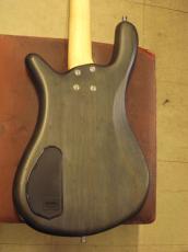 Warwick Teambuilt Pro Series Streamer CV 4_4