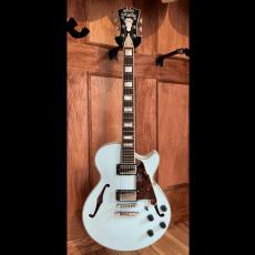 D'Angelico Premier SS_2