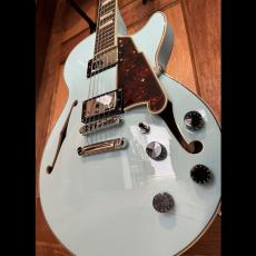 D'Angelico Premier SS_3