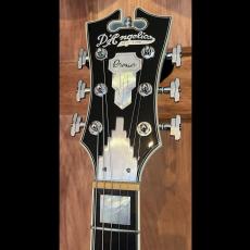 D'Angelico Premier SS_5