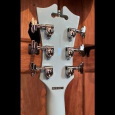 D'Angelico Premier SS_7
