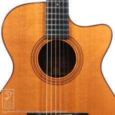Switch SC00-1C VS-VH Limited (Vintage Sitka Spruce & Vintage Honduras Mahogany)_12