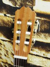 Orpheus Valley Guitars オルフェウス・ヴァレー・ギターズ Sofia S58C 杉・サペリ 580mm ショートスケール【日本総本店2F在庫品】_3