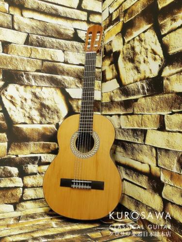 Orpheus Valley Guitars オルフェウス・ヴァレー・ギターズ Sofia S53C 杉・サペリ 530mm ショートスケール【日本総本店2F在庫品】