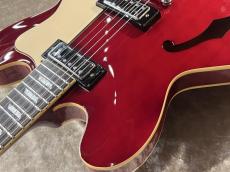 Epiphone 【USED】Riviera Cherry  [3.54㎏][Peerlessファクトリー]【G-CLUB TOKYO】_6