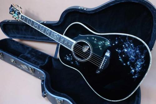 Terry's Terry TJ-100 Custom " Star Black ” / Premium Spruce Top・Premium Rosewood Side and Back・Body Top and Side and Back Abalone Trim・Clear Guard・Ebony Fingerboard and Bridge【With Original Case】2016年製