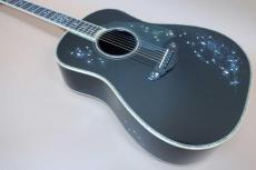 Terry's Terry TJ-100 Custom " Star Black ” / Premium Spruce Top・Premium Rosewood Side and Back・Body Top and Side and Back Abalone Trim・Clear Guard・Ebony Fingerboard and Bridge【With Original Case】2016年製_3