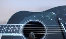 Terry's Terry TJ-100 Custom " Star Black ” / Premium Spruce Top・Premium Rosewood Side and Back・Body Top and Side and Back Abalone Trim・Clear Guard・Ebony Fingerboard and Bridge【With Original Case】2016年製_10