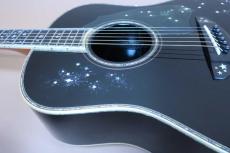 Terry's Terry TJ-100 Custom " Star Black ” / Premium Spruce Top・Premium Rosewood Side and Back・Body Top and Side and Back Abalone Trim・Clear Guard・Ebony Fingerboard and Bridge【With Original Case】2016年製_11