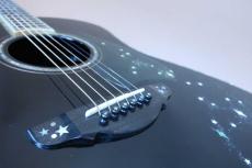 Terry's Terry TJ-100 Custom " Star Black ” / Premium Spruce Top・Premium Rosewood Side and Back・Body Top and Side and Back Abalone Trim・Clear Guard・Ebony Fingerboard and Bridge【With Original Case】2016年製_12