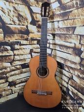 Antonio Raya Pardo アントニオ・ラジャ・パルド 1997年製 Torres 松・ローズ 645mm 【日本総本店2F 在庫品】_2