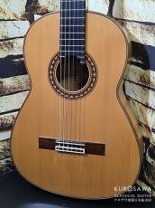 Francisco Alba (Munoz) フランシスコ・アルバ(ムニョス) 2008年製 松・シープレス フラメンコ 白【日本総本店2F 在庫品】
