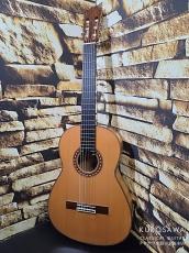 Francisco Alba (Munoz) フランシスコ・アルバ(ムニョス) 2008年製 松・シープレス フラメンコ 白【日本総本店2F 在庫品】_2