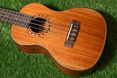 DCT DUC-600M Concert
