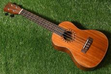 DCT DUC-600M Concert_3
