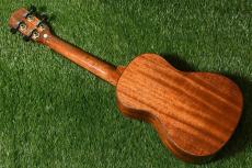 DCT DUC-600M Concert_4